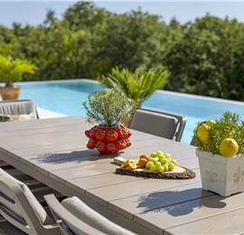 Luxury 4-Bedroom Villa with generous sized Infinity Pool near Buje, Istria. Sleeps 8